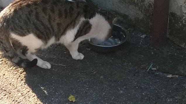 I voli della fantasia finiscono tutti con l’atterrare sempre nell'aeroporto grigio della realtà.