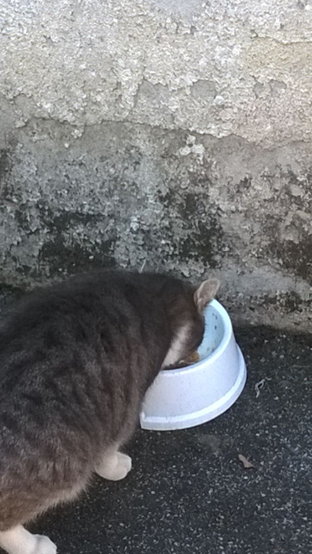 Il male è che la generosità può anche essere un buon affare.