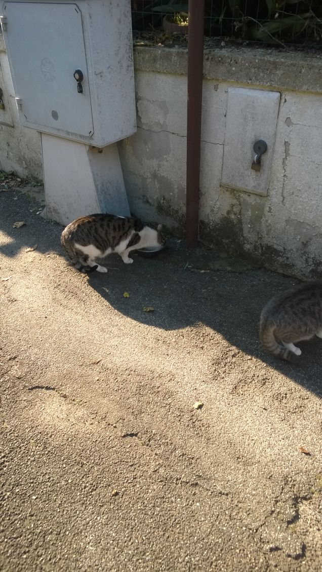 La generosità è, per definizione, disinteressata.