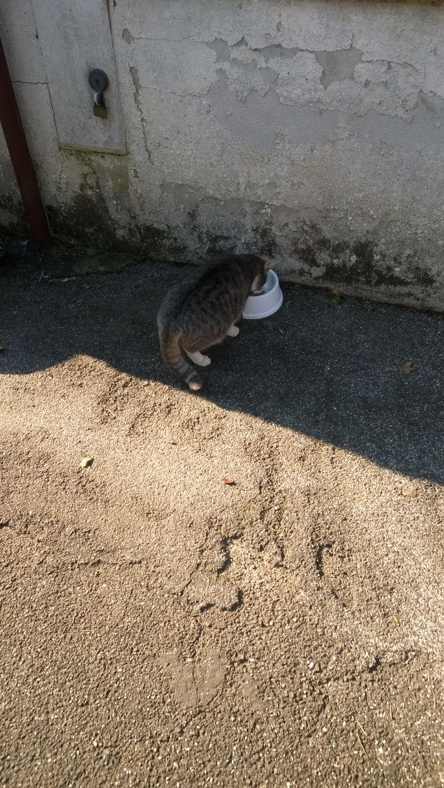 A tutti piacerebbe avere la reputazione di essere generosi, e a tutti piacerebbe comprarla a buon mercato.