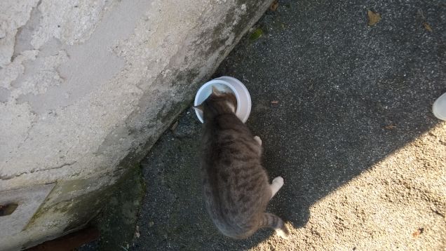 È più facile essere generosi che non rimpiangerlo.