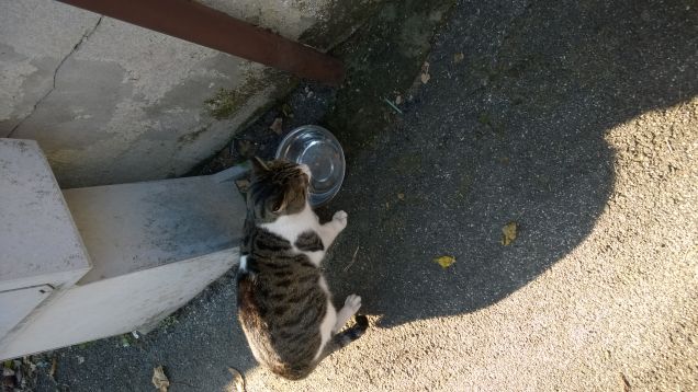 La generosità fornisce meno consigli che soccorso. (Marchese di Vauvenargues)