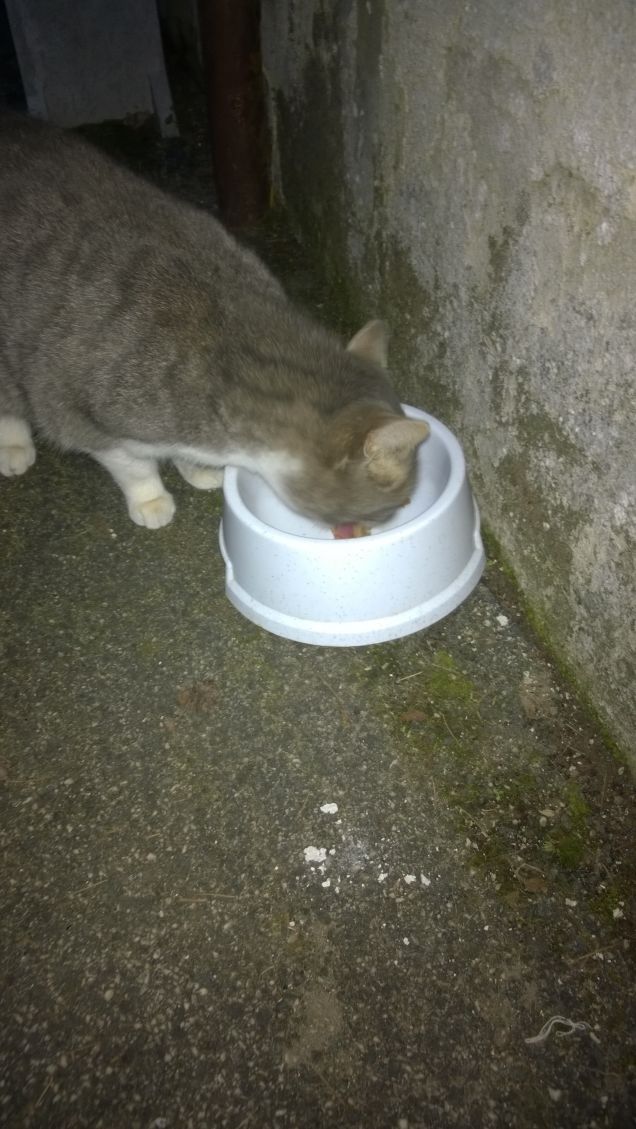 C’è chi è generoso nel dare e chi è generoso nel ricevere.