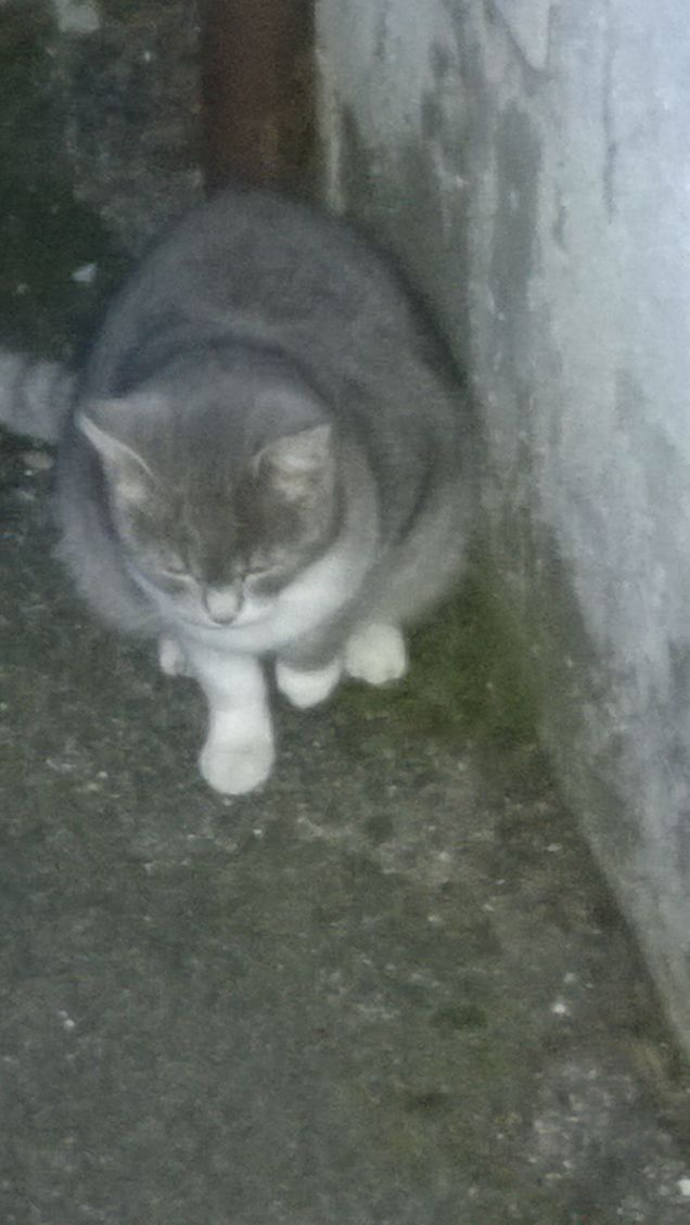 Gli italiani generosissimi in tutto non sono generosi quando si tratta di pensare.