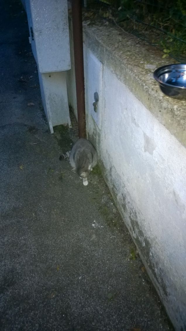 L’uomo che gioisce di ogni acquisto più del necessario, e si addolora di ogni perdita più del necessario, è avaro.