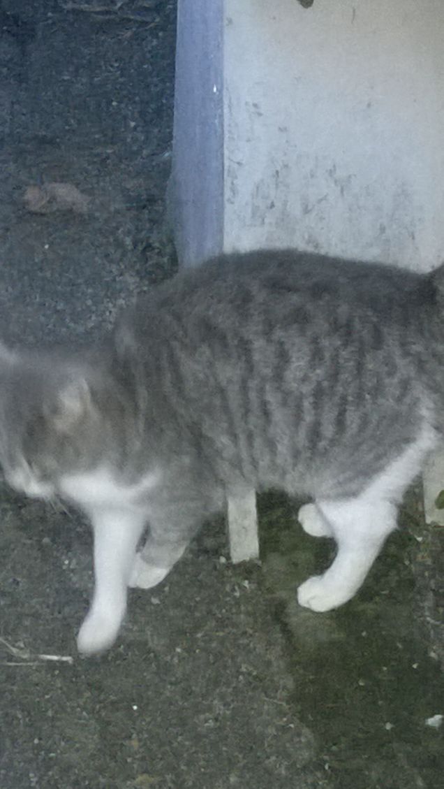 Scegli l’altruismo, perché l’egoismo è un solitario, freddo, buco nero