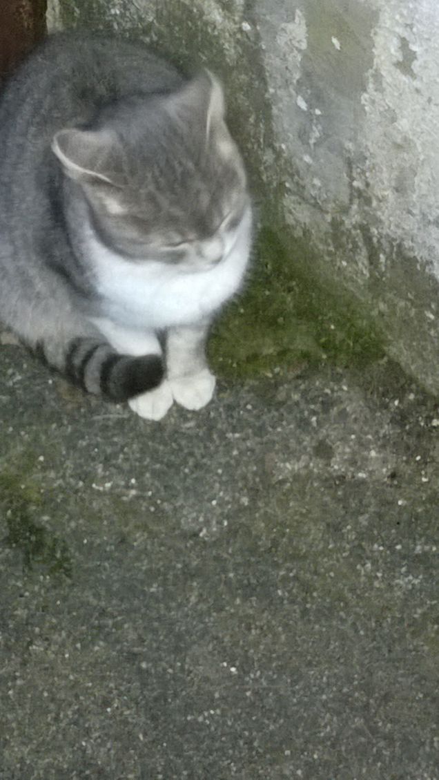 La vera generosità verso il futuro consiste nel donare tutto al presente. (Albert Camus)