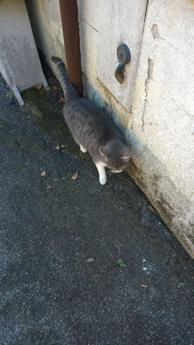 Tutti gli animali hanno un cuore grande ed un'anima pura, amano e sentono il desiderio di essere amati.