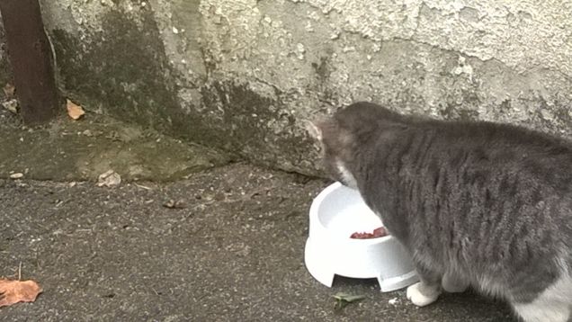 Non cambia mai nulla