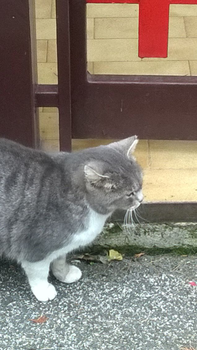 Rompendo il ghiaccio.