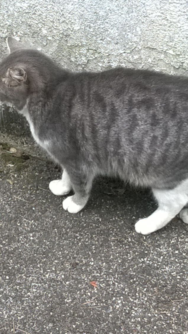 La mia piccola Diva.