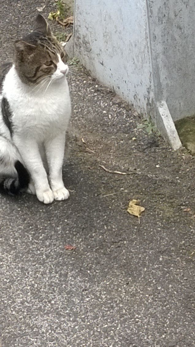 Un vero Latin Lover.