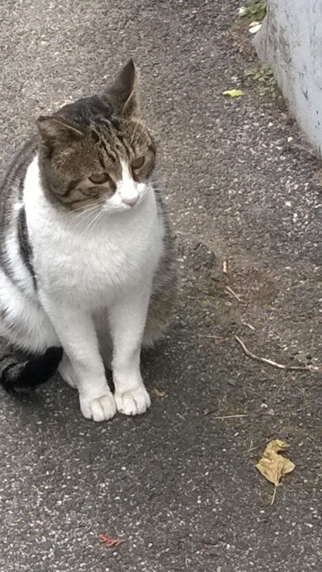 Io sono un tipo serio.