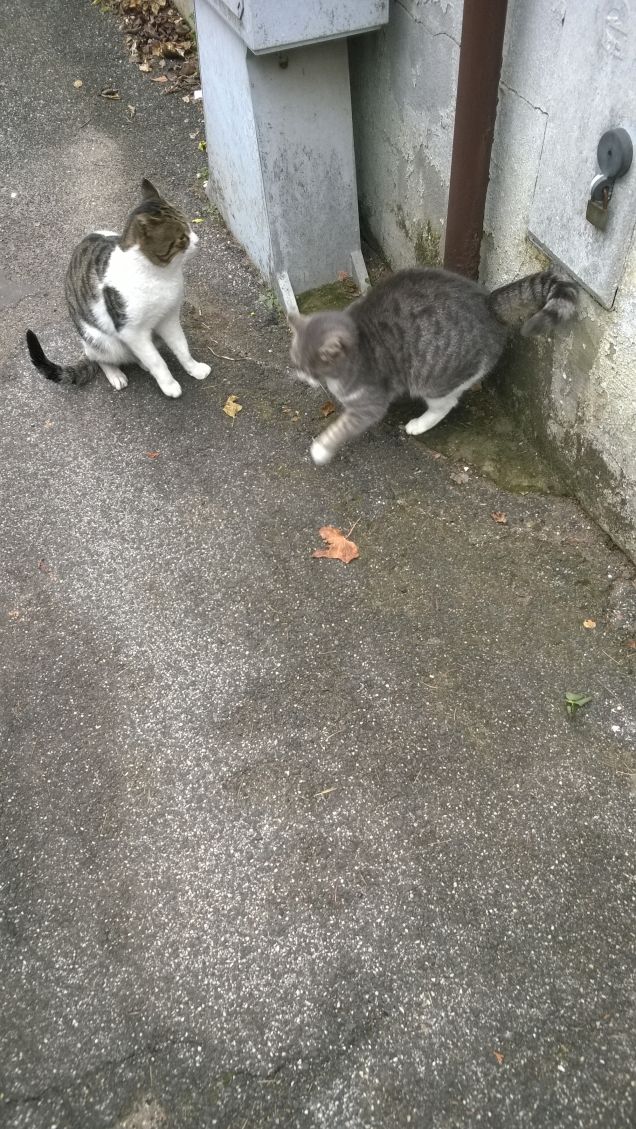 Lui e lei un grande amore e niente più.