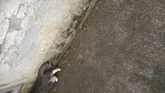 E sul finire...vado.