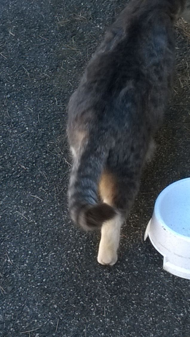 Giro i tacchi e me ne vado.