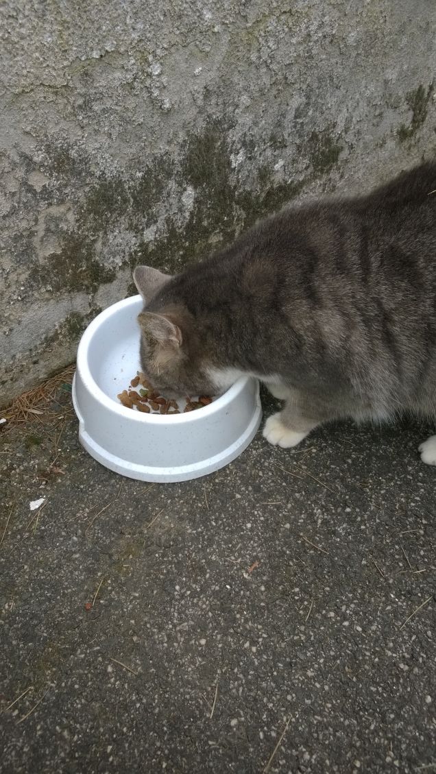 Oggi è un'altra giornata fredda.