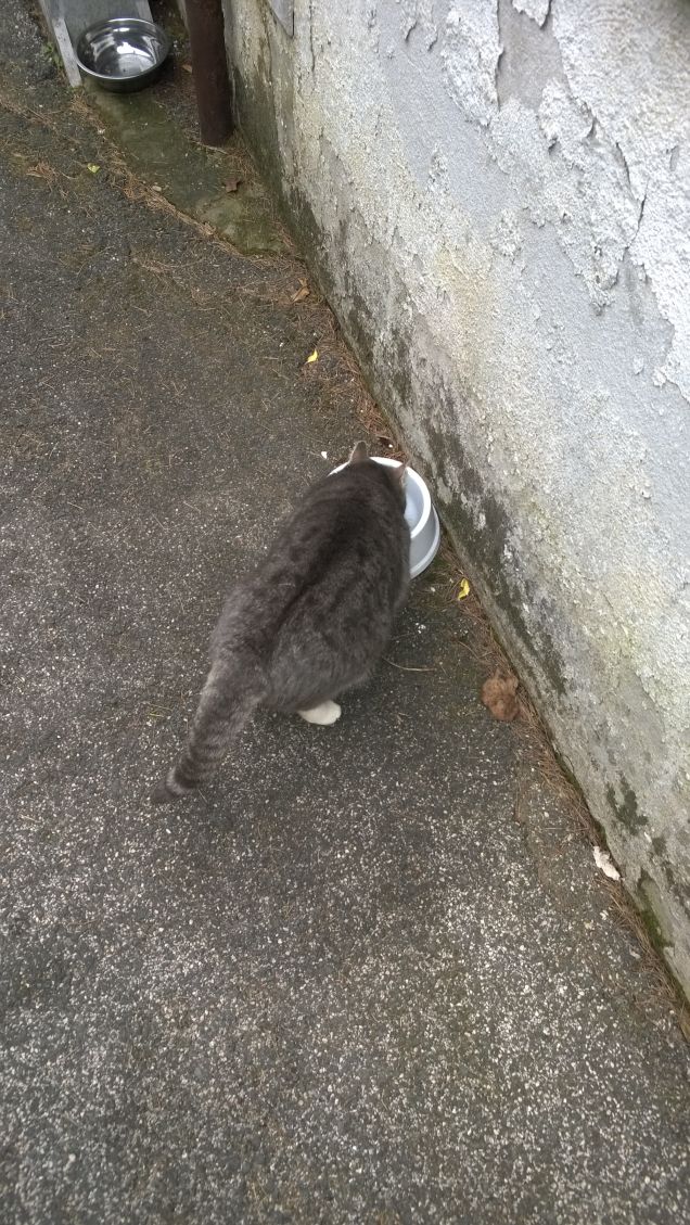 Lei si che sa cosa sia la riconoscenza.