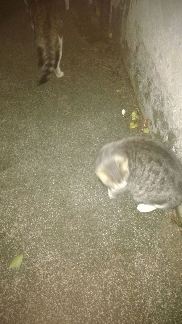 Mai un momento buona e ferma.