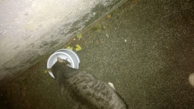 La sua ragione di vita.