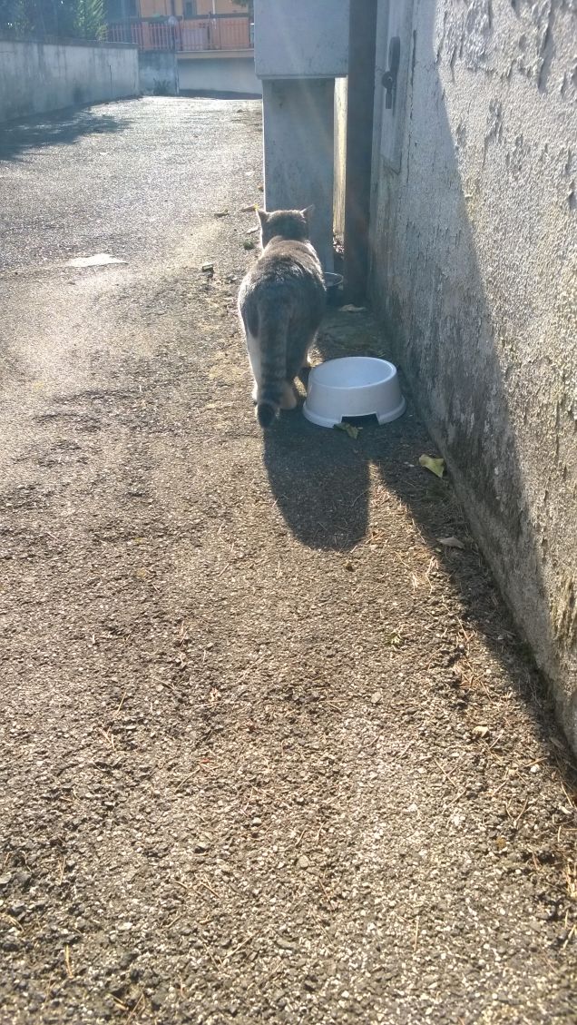 La più bella sei tu.