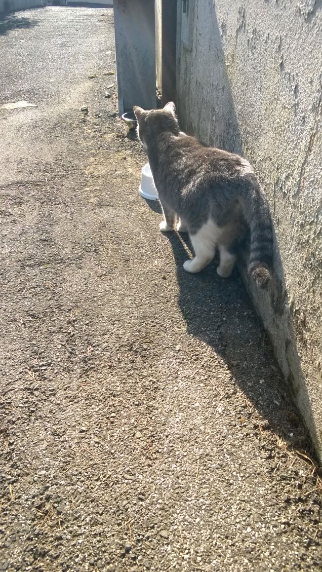 La più bella sei tu.1