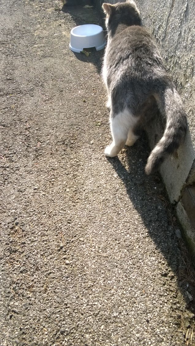 La più bella sei tu.2