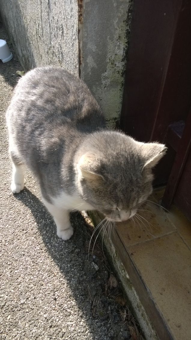 La più bella sei tu.7