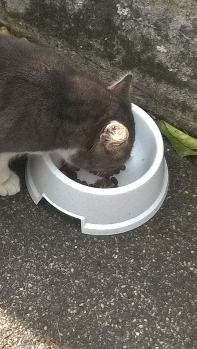 E anche oggi si mangia.