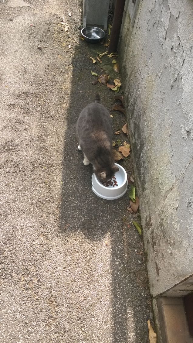 E anche oggi si mangia.5