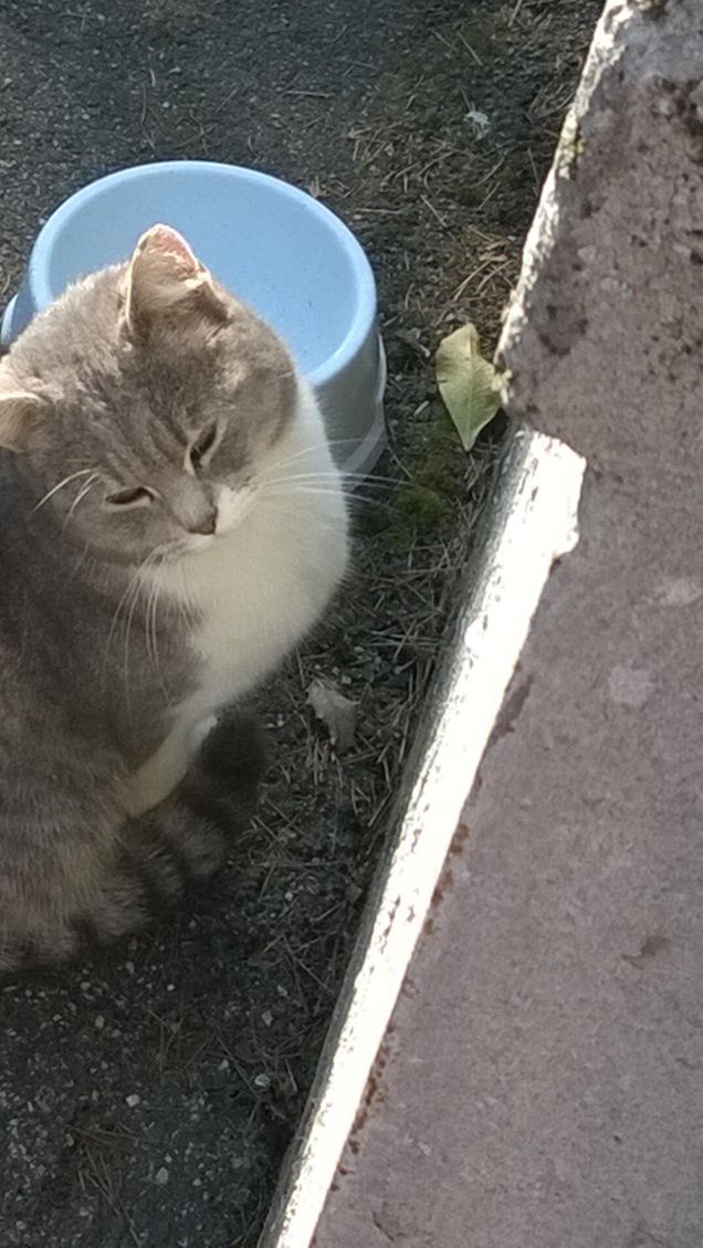 La guardo e m'innamoro.