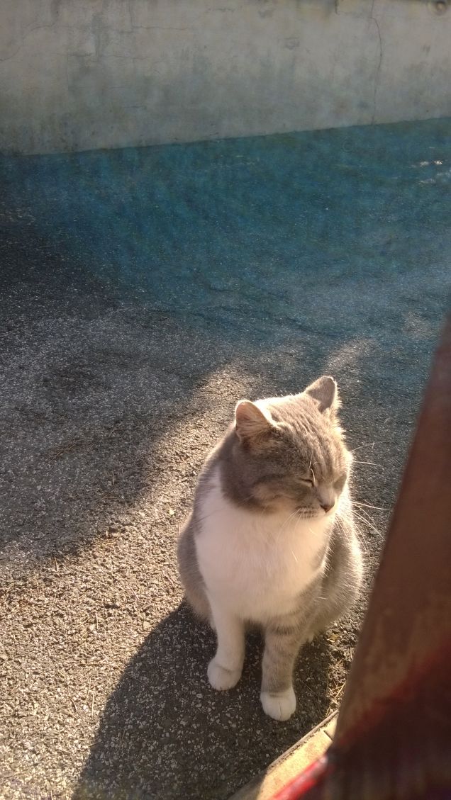 Il primo raggio di sole 