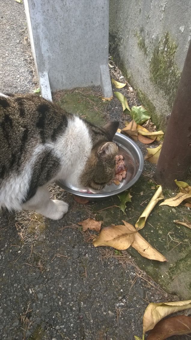 Una vera specialità.