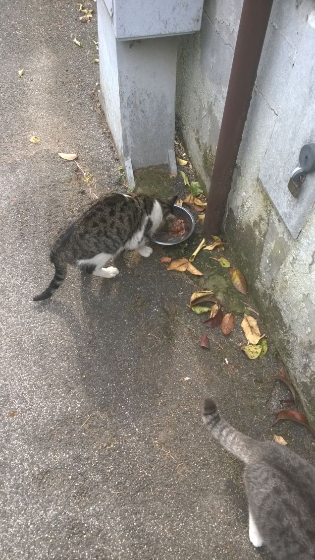 Dei veri buongustai.