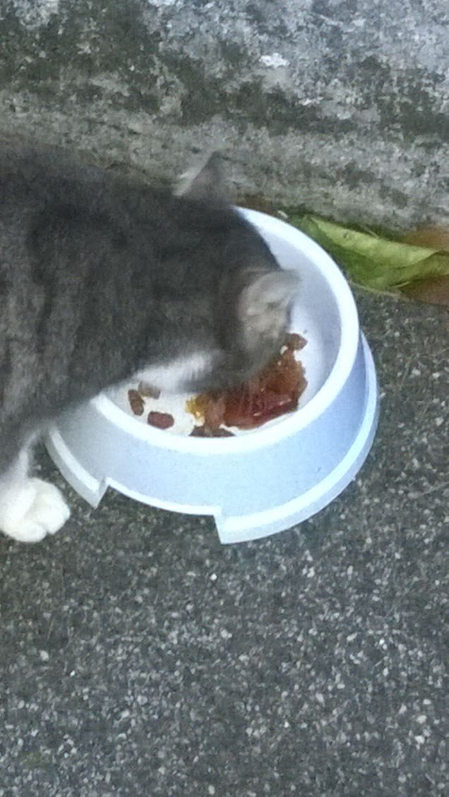 E finalmente la ciotola è piena.