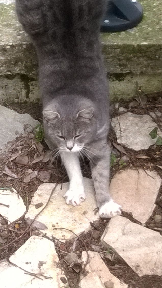 Mi stiro e sono bellissima.