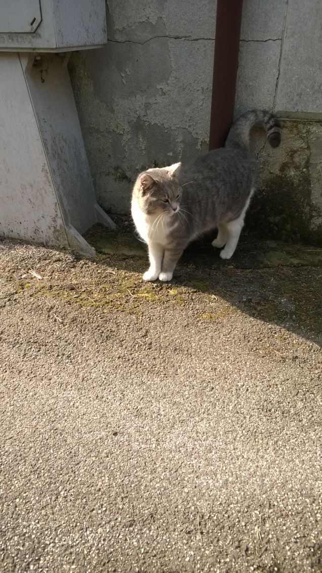 Una grande scoperta.