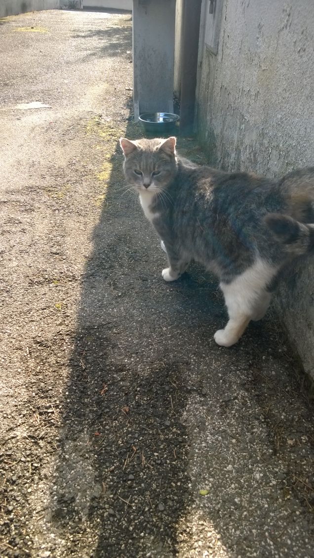 Uno sguardo che dice tutto.