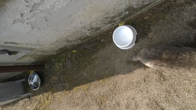 Più veloce della luce.