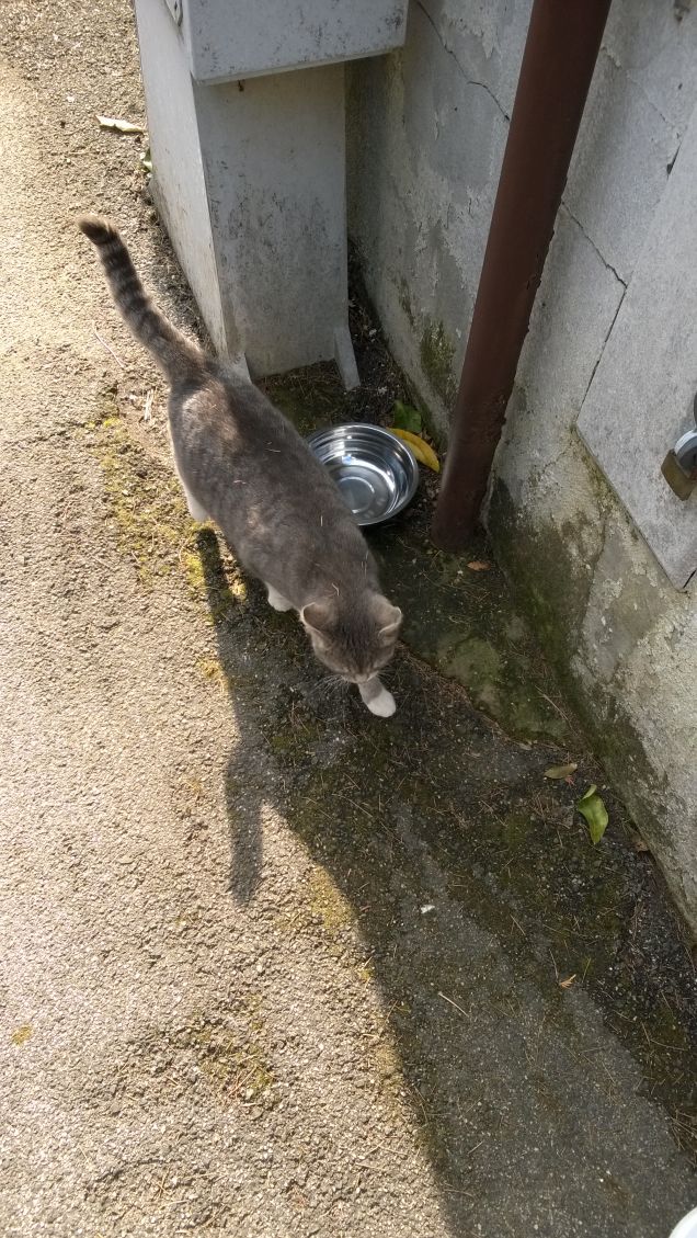 Sempre presente sempre bella.