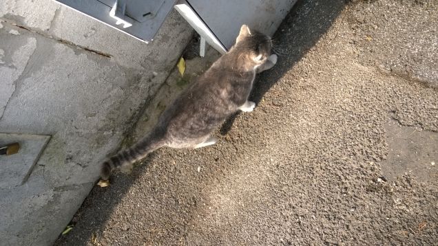 Il grigio è il nostro colore preferito.