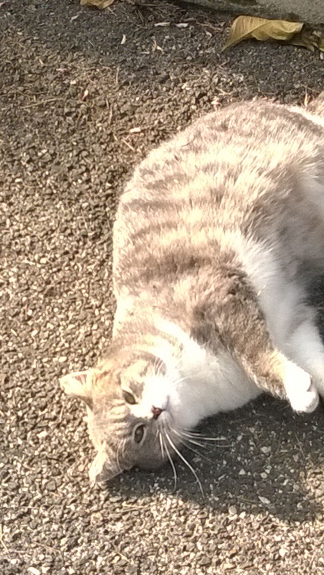 Due occhi che ti guardano.