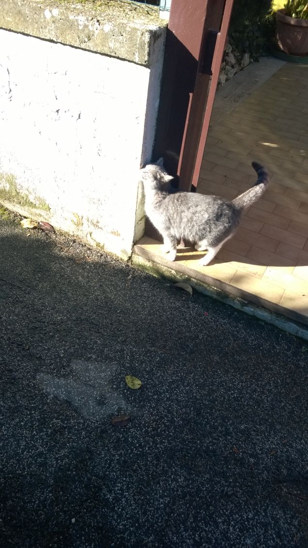 L'affetto che trasmette è immenso.