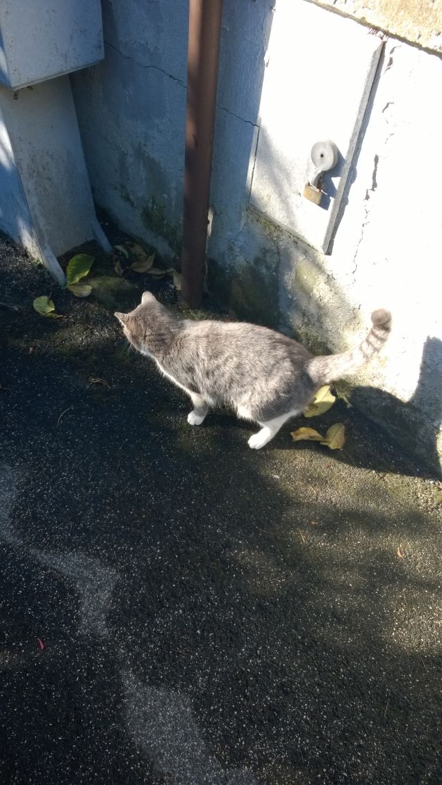 Quasi ora di colazione.