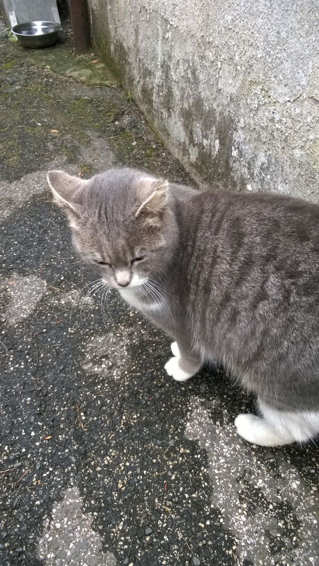 Di solito è molto gioiosa.