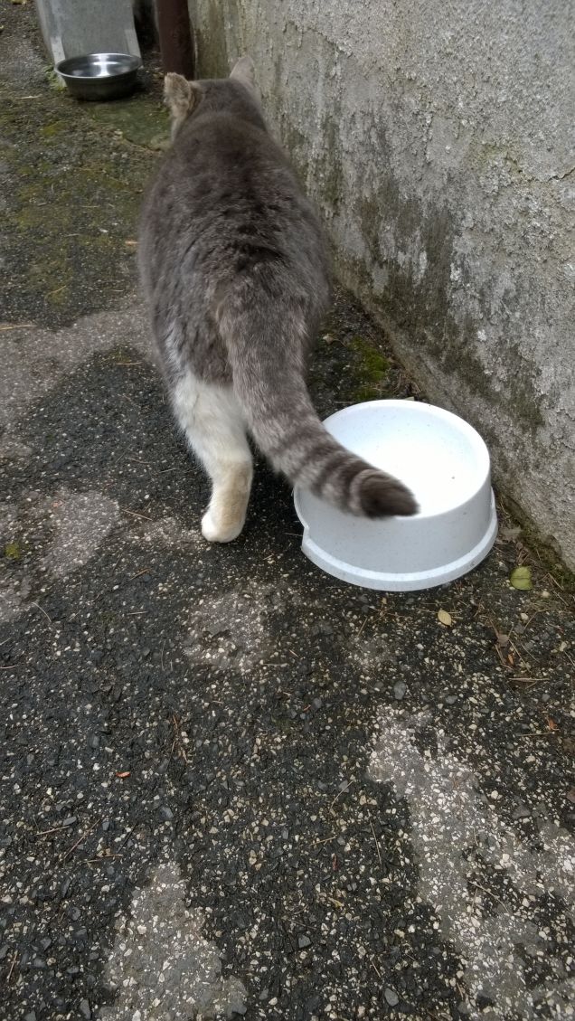 Non andare via, resta qui.