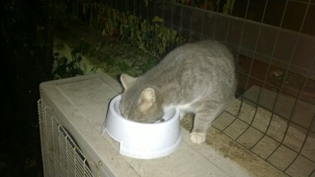 Era sempre una notte buia e tempestosa.