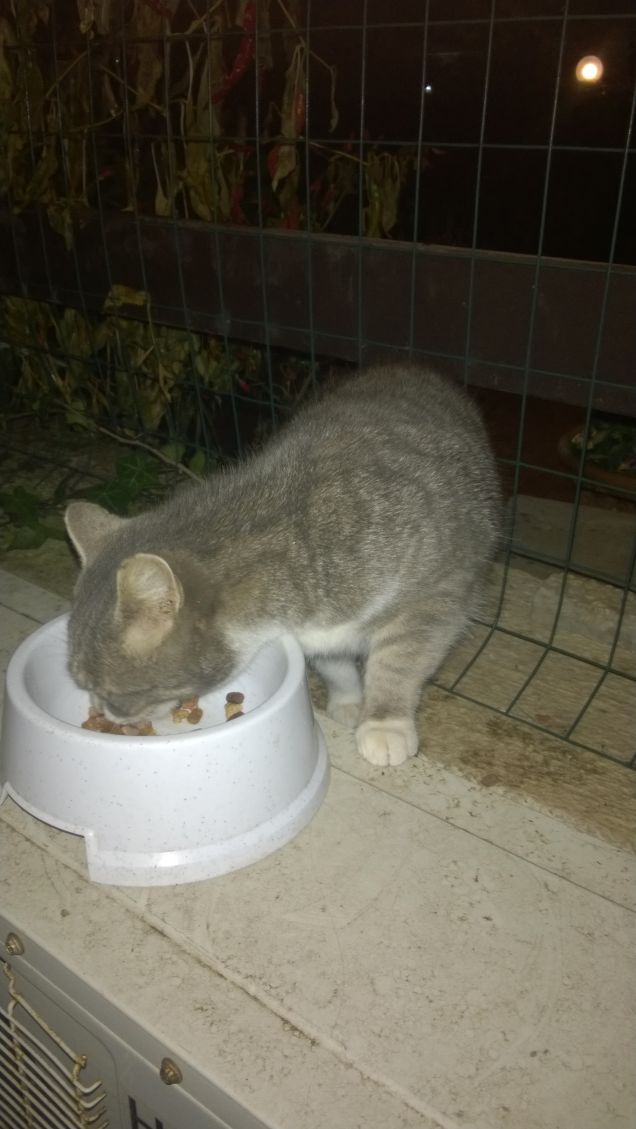 Mi piace guardarla mangiare.