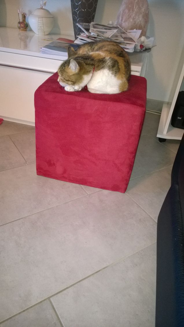 Bry dorme sul puff.1