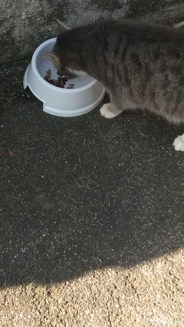 Finchè si mangia è tutto ok.